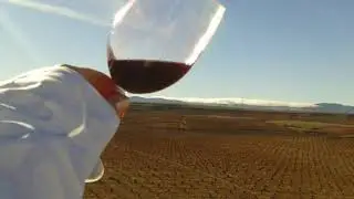 Hacienda Molleda winery and vineyards