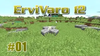 ErviVaro 12 #1 | #KongStrong