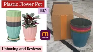 Plastic Flower Pot from MEESHO 🪴🌱 || Flower Pot || Planting