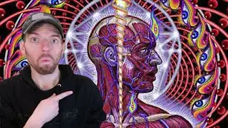 My Name is Jeff's FIRST TIME Hearing: 