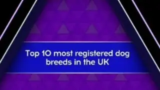 The 10 Labour Party Leaders Up To 2018   - Tenable Quiz App