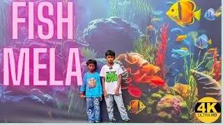 Детский праздник с рыбками 🐟🐠 | Красочные аквариумы и веселье с живыми рыбками #bengaluruevents #...