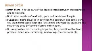 8 ADMLT- Nervous system  DR  MUTHA
