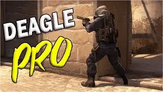 ‹ Deagle Pro›