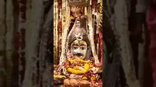 14 feb 2026 sahi sawari dharampuri coming soon || mere baba jagirdar ki dharampuri