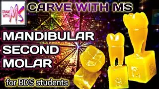 MANDIBULAR SECOND MOLAR CARVING | Step by step | With proper instructions | wax block carving | MS