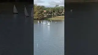 Solings Mira Mar pond The villages Fl