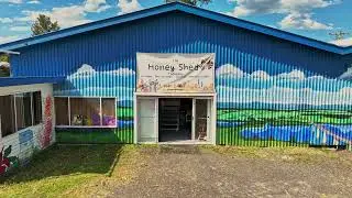 The Honey Shed - Bruxner Hwy Tabulam Northern NSW - Lifestyle and Income!