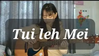 SaiWanah Ft. Omomi - Tui Leh Mei (fingerstyle guitar cover)