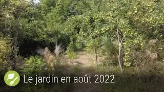 Le jardin qui se mange en août 2022
