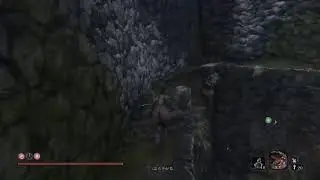 [2周目-2]vs弦ちゃんスタート！もう一度踏みにじるね...トロコンへの旅[SEKIRO]