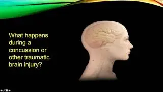 Supporting Survivors: Domestic Violence and Traumatic Brain Injury
