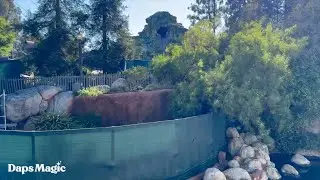 Mark Twain Spiel Updated with Bayou Country | Disneyland Resort 2024