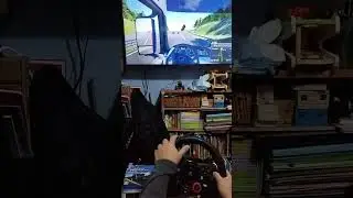 PS4 REALISTIC TRUCK SIMULATOR ON THE ROAD #driving #trending #ps4 #gaming #truck #trucksim #games