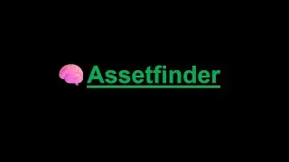 🎯assetfinder