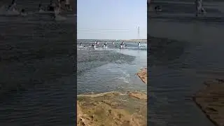 Mohanur