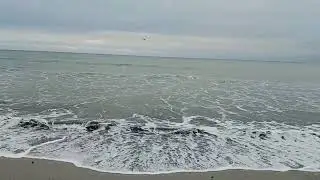 Winter Walk by the Sea | Paralia Katerini, Greece | January 22, 2026