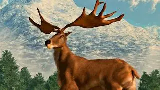 Did Huge Antlers Kill the Irish Elk?
