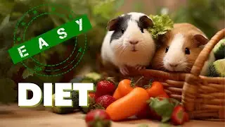 Guinea Pig Diet Fruits and Vegetables Made Easy