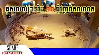 ផូស៊ីលល្បីៗទាំង ១០ នៅជុំវិញពិភពលោក - Famous fossils