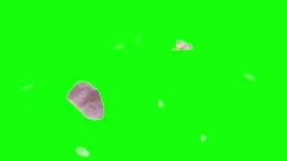 Falling flower, petals, green screen effects animations | flowers Petals Chroma key, free full HD