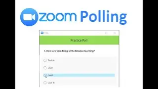 How to do Polling in Zoom
