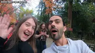 Japan Tour 2024 with Seven Spires - Days 1 - 5