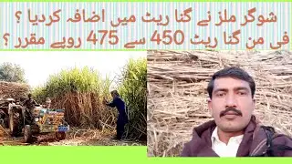 sugar cane rate 450-475 per 40kg/sugar mills gana rates/pakistan agriculture imran Khan/sugar mills 