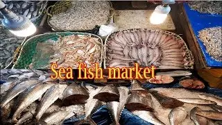 Biggest sea fish market in Bangladesh | sea fish | coxs bazar sea fish market of Bangladesh |