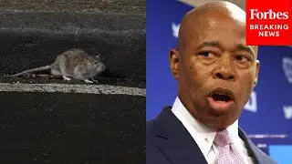 Mayor Eric Adams Names A 'Rat Czar' To Combat The Scourge Of Rats In New York City