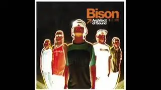 Bison: Architect of Sound
