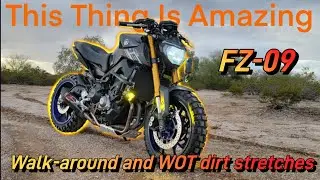 FZ-09: Бескрайняя пустыня на юго-западе — ЛУЧШИЙ дуал-спорт 🤣 РЕАЛЬНО