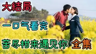 一口氣看完《苦盡柑來遇見你》全集：IU李知恩、朴寶劍，新劇一開播就跟別人私奔，兩人的演技都好炸裂！#IU #李知恩#朴寶劍#愛情#韓劇#電視劇#電視劇解說#影視解說