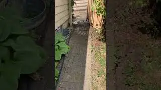 Dirty Patio Cleaning #patio #pavers #paversealing #dublinohio #concrete #cleaning #satisfying