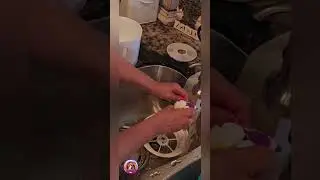 Keep your cat&rsquo;s water fresh and clean! Easy to install filters!