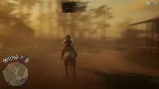 After failed many times I finally found Carolina parakeet RDR 2