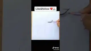 Enakis drawing