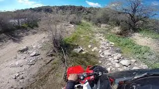 Macoke quad(8)