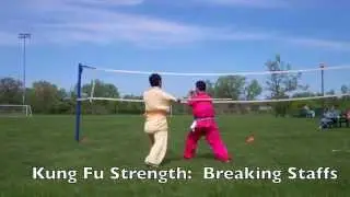 Soaring Eagle Kung Fu 05/2014 Xilin North Picnic.  飞鹰功夫 Feiying Kungfu