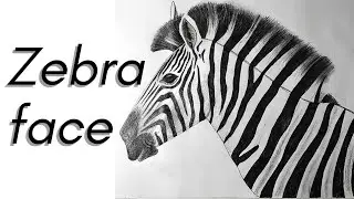 Drawing a realistic Zebra face🦓 ||Picture Arts||