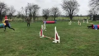 Karma training with Lucy 🧡