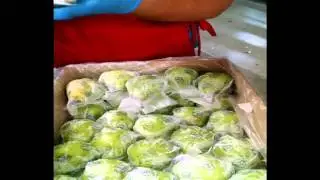Pear Packing Training Video 2014 - English