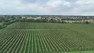 Pump lane orchards Rainham Kent under threat v2