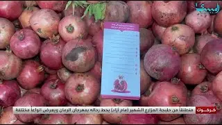 المزارع النموذجي (مام ازاد ) ينطلق من حلبجة ويحط رحاله بمهرجان الرمان في كركوك ليعرض انواعاً مختلفة