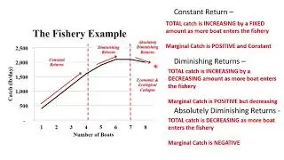 Ch 4 Part 3: Common Property Resources | ECON 22 - Environmental Economics