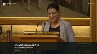 Storting 30.01.2019 Debatt om Granavolden-plattformen del 2