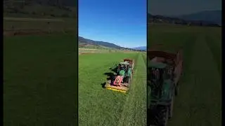 Kuhfutter m&auml;hen💚💛 #johndeere #johndeerepower #p&ouml;ttinger #farming #landwirtschaft #agriculture #fy