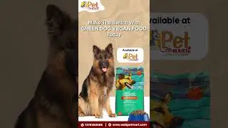 Why Meat Is NOT the Only Way | Switch to Vegan Dog Food Today! 🌱🐶 | PetMart India