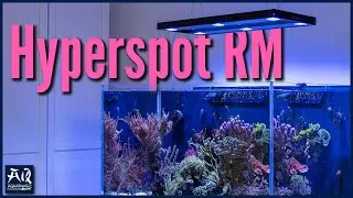 Hyperspot für Meerwasseraquarien (Skylight Hyperspot RM Review) | AquaOwner