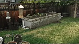 Self Watering Raised Bed Garden - DIY Wicking Bed